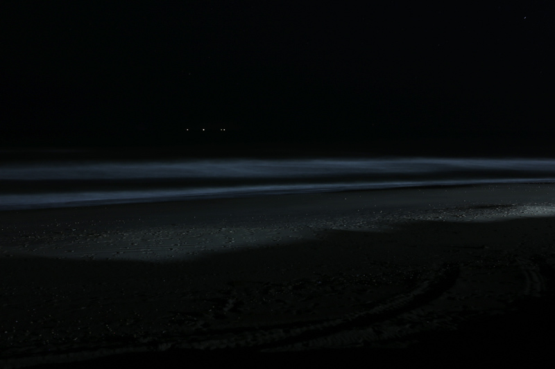 fotografia notturna, spiaggia di Cervia e Milano Marittima di notte