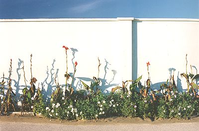 rimin, april 2001