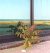 jesolo marzo 1997