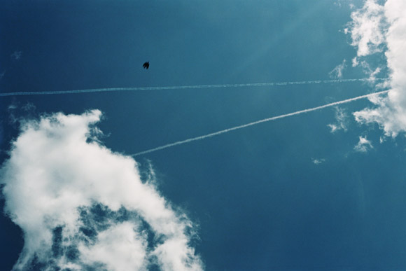 birds flying between planes on a blue sky