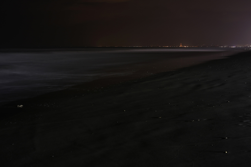 cervia costa adriatica paesaggio notturno