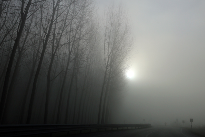 gennaio strada statale in friuli nebbia verso il mare verso Lignano