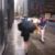 Manhattan, may 2000