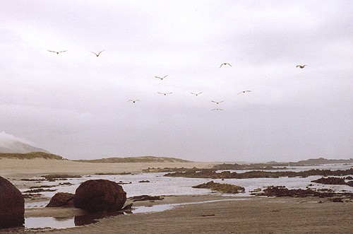 Atlantic Ocean, Portugal, august 2004