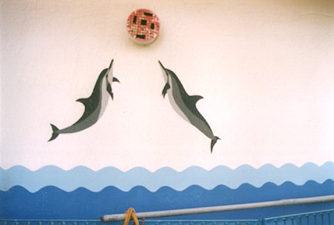 rimini, february 1999