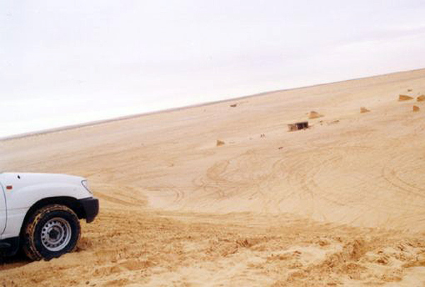 Tozeur, entrance of Sahara desert, january 2004
