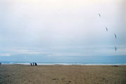 Rimini, wind on the winter beach