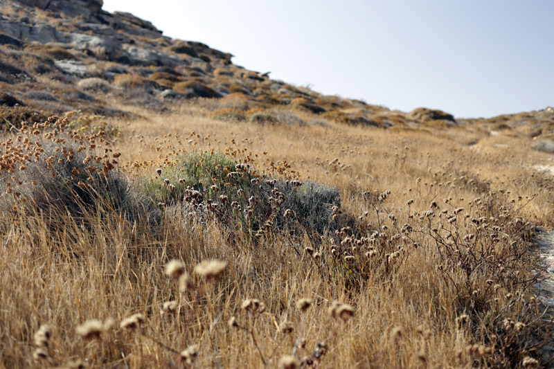 Fotografia e Scrittura, tra Monastiri e Paros