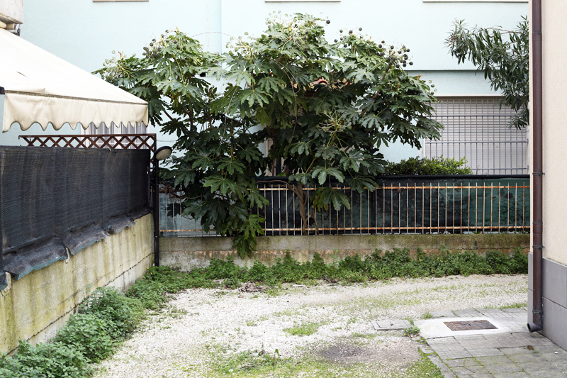 riccione cortile celeste