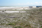 Milano Marittima beaches on winter
