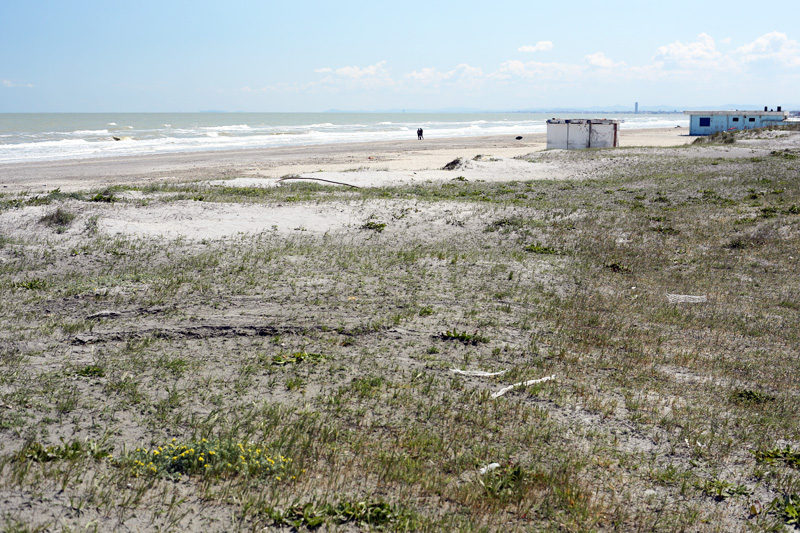 milano marittima on winter, beaches