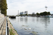 Parigi, lungo la Senna cigni e biciclette