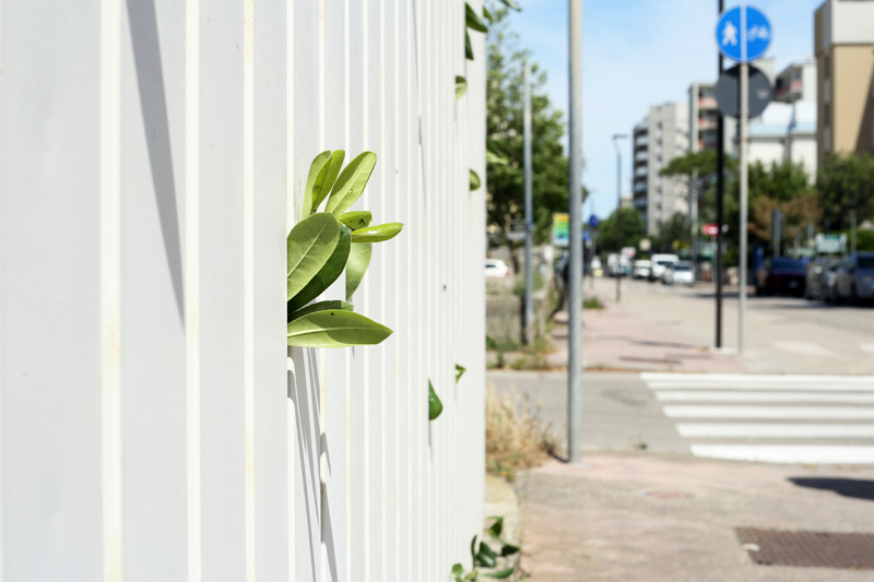 European Contemporary Photography, Exploring the Adriatic Riviera, Lido di Classe