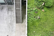 thumbnail A French little garden