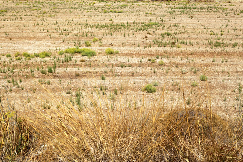 Paros, Greece, fields