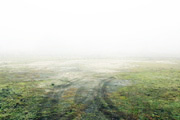 near ravenna on winter
