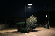 riccione nigh
