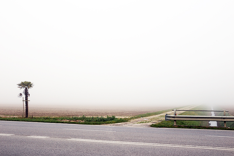 Strada Statale verso Lignano