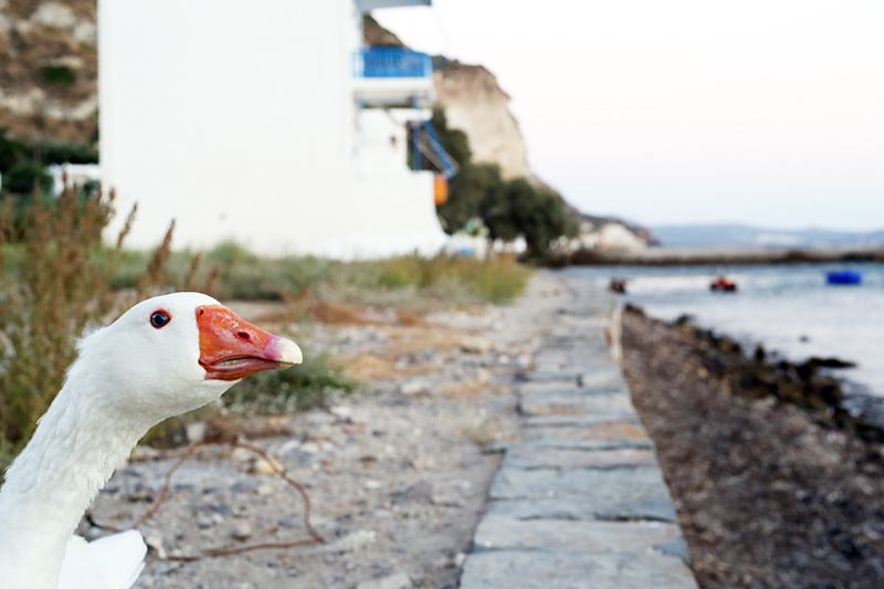 Klyma, Milos - Greece