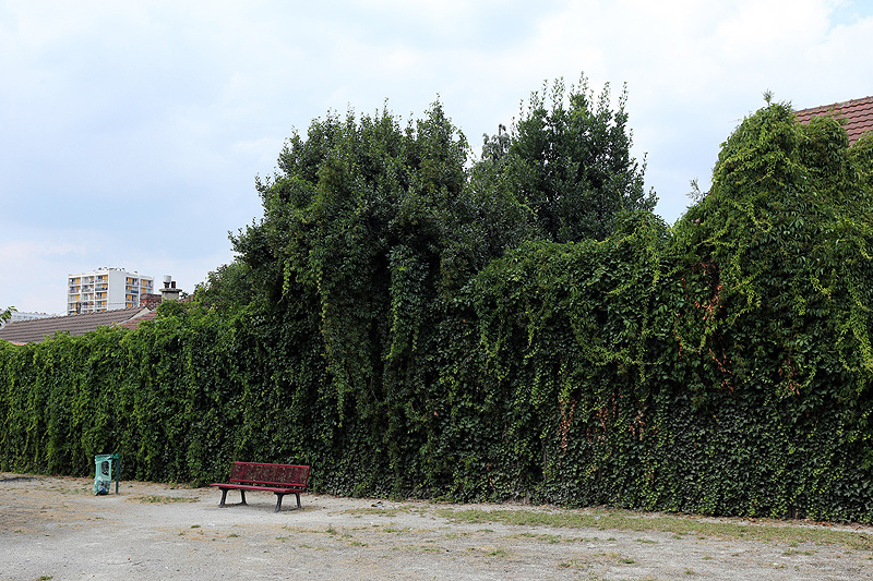 Paris, les jardins pendant l't