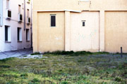 abandoned gardens
