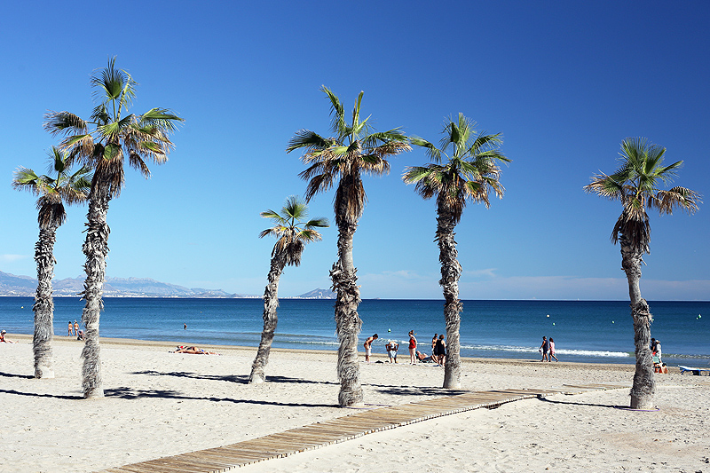 alicante playa de san juan