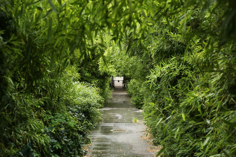 gardens in paris on summer