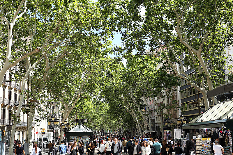 la rambla a barcellona d'estate america's cup