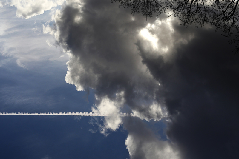 cielo blu e nuvoloso a marzo rami albero