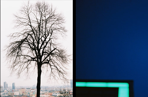Bratislava albero e vista della città dall'alto