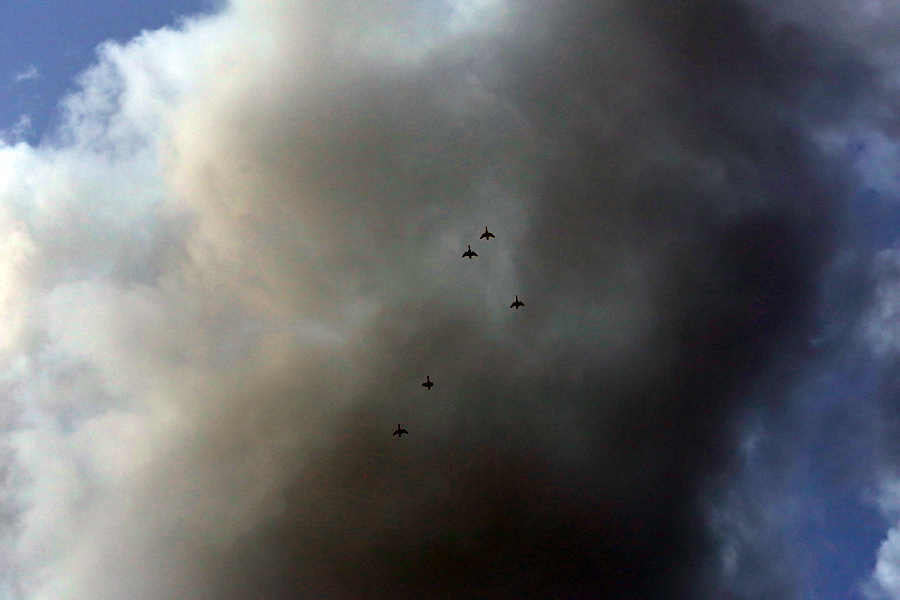 canards comme avions sur le canal saint martin, paris