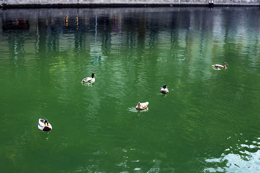 cosa vedere a parigi canal saint martin di parigi