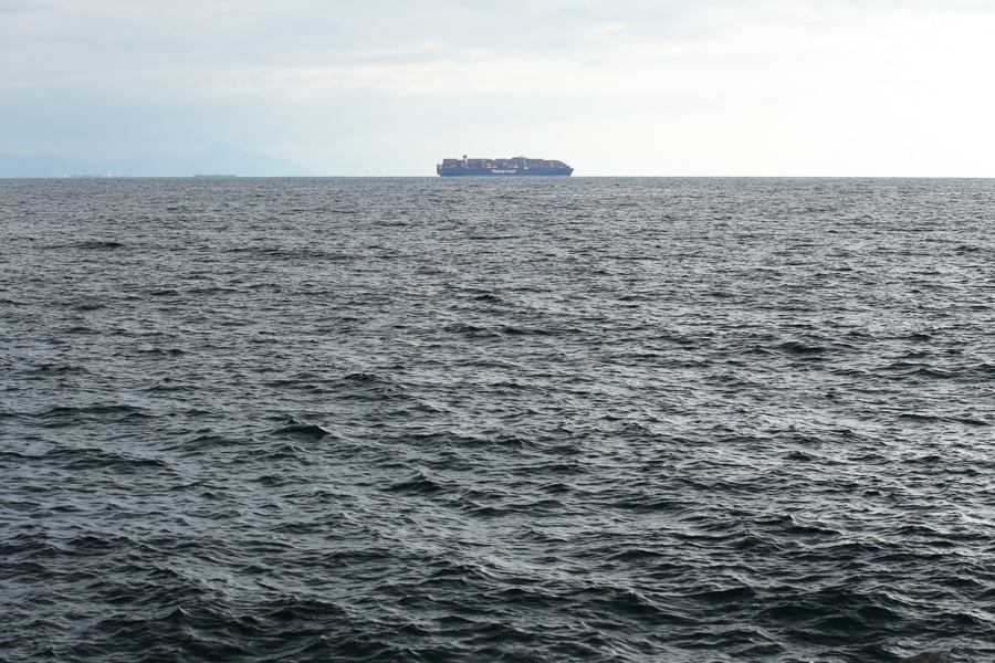 cargo al largo di genova