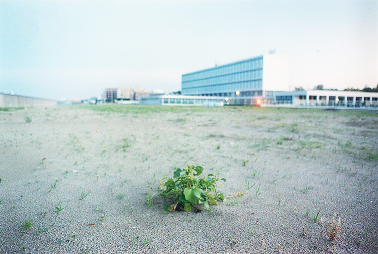 Cesenatico, desert beach and sea landscape