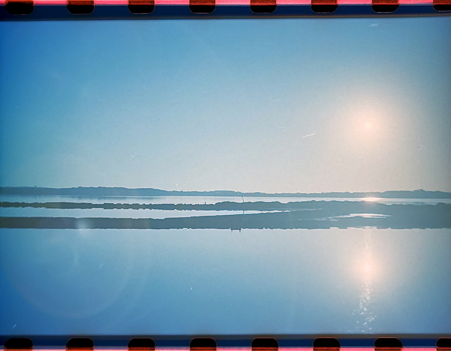 ses salines le saline rosa di formentera