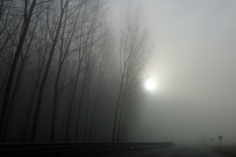 gennaio strada statale in friuli nebbia verso il mare verso Lignano, fotografia contemporanea friuli