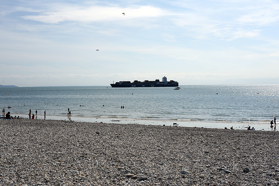 Un grand navire porte-conteneurs navigue au large du havre, tandis que des personnes se promènent et se détendent sur la plage