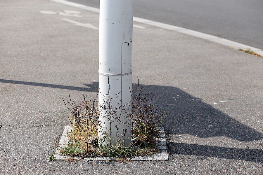 reportage photographique au havre en été, explorant les détails urbains, les rues