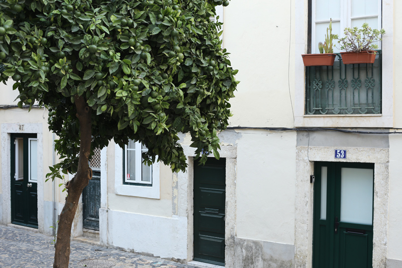 lisbon walking in alfama district walls and streets