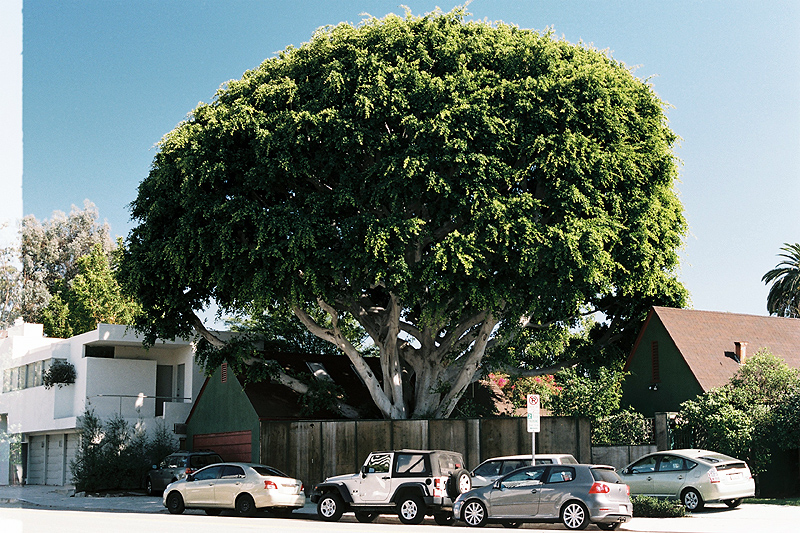 Los Angeles Lacma and Labrea District