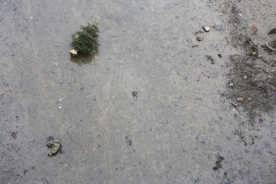 Un sapin dans le Canal Saint Martin