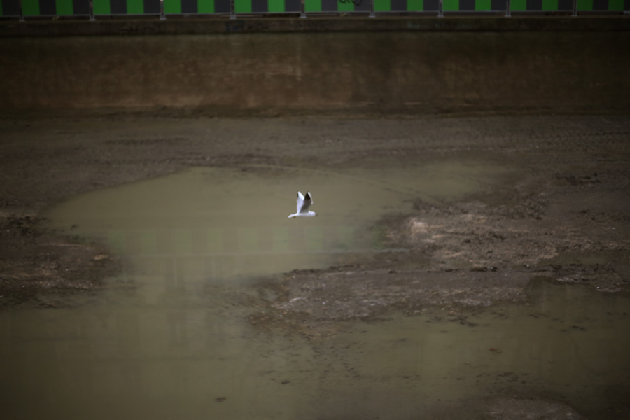 paris canal saint martin atmosphere