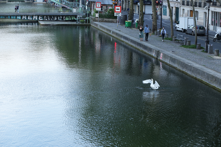 Canal Saint-Martin, Paris, cygne, movida, aperos, rue dieu, la marine