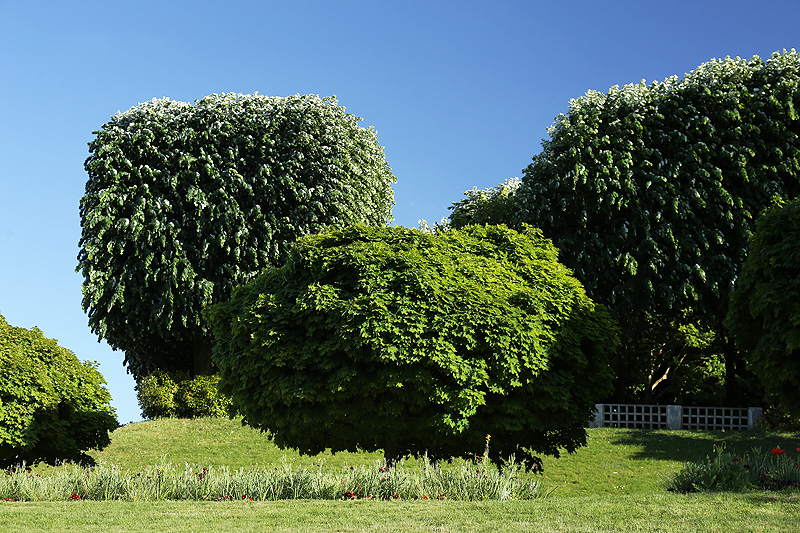 les jardins et les parcs de paris pendant le printemps, 19ème arrondissement, paris spring gardens