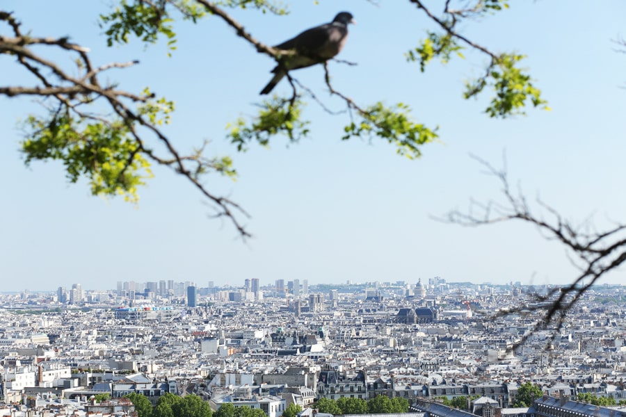 parigi vista da montmartre italiani a parigi