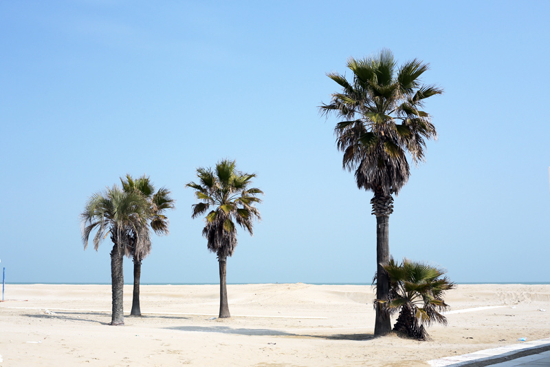 rimini beach on winter with palms