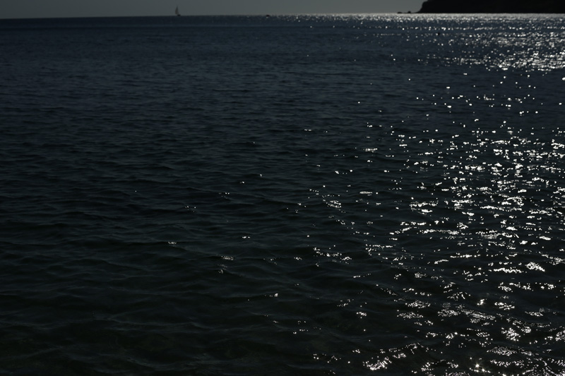 sea sunlight