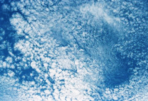 cielo nuvole pecorelle grattacielo e albero